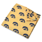 Swaddle | University of Iowa