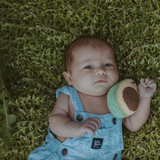 Stuffie | Avocado Rattle